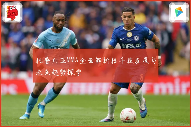 托普利亚MMA全面解析格斗技发展与未来趋势探索