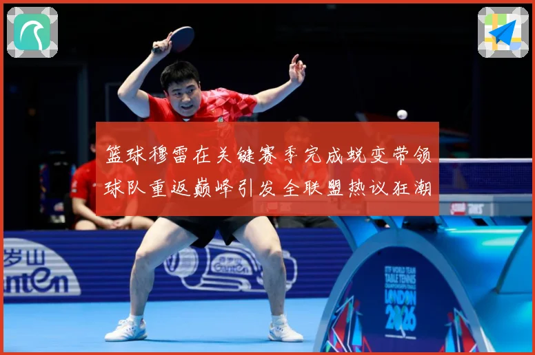 篮球穆雷在关键赛季完成蜕变带领球队重返巅峰引发全联盟热议狂潮赛场复盘